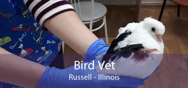 Bird Vet Russell - Illinois