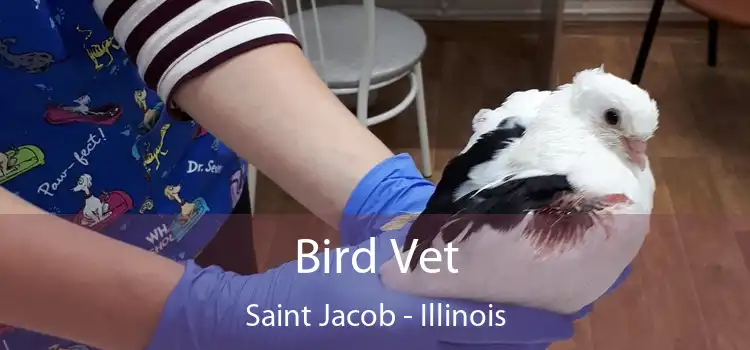 Bird Vet Saint Jacob - Illinois