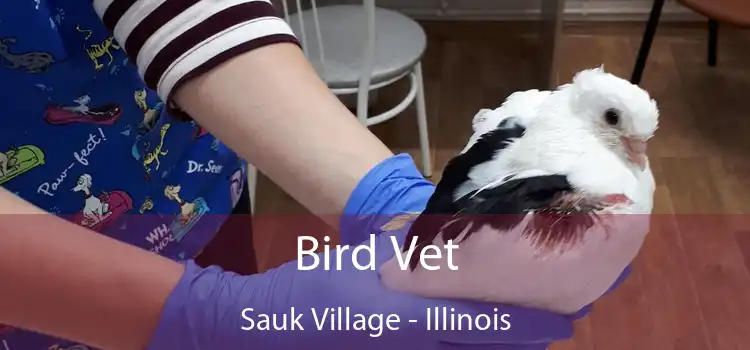 Bird Vet Sauk Village - Illinois