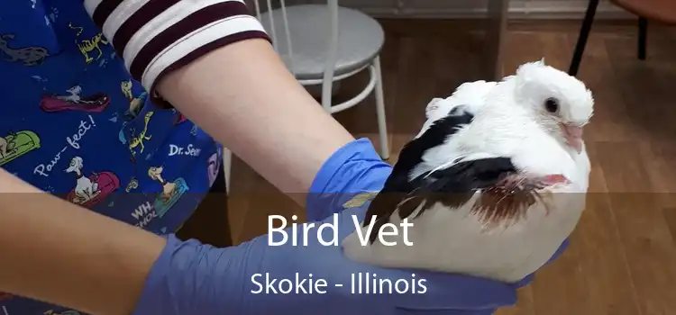 Bird Vet Skokie - Illinois