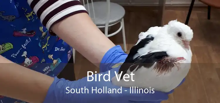 Bird Vet South Holland - Illinois