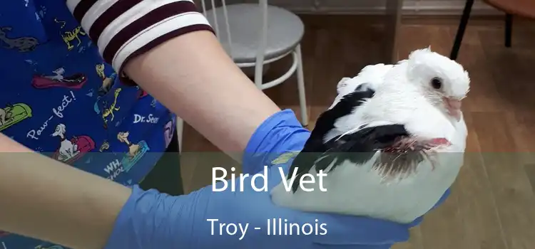 Bird Vet Troy - Illinois