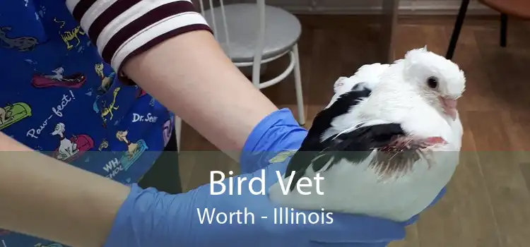 Bird Vet Worth - Illinois