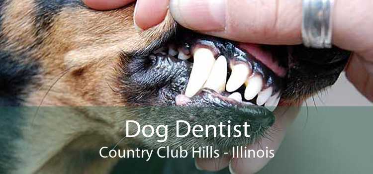 Dog Dentist Country Club Hills - Illinois