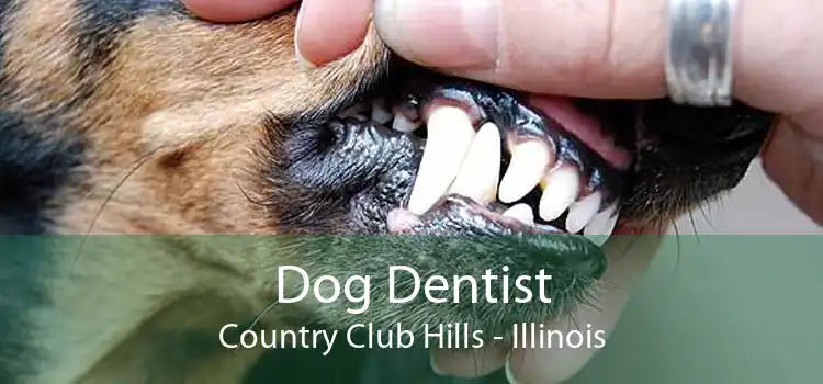 Dog Dentist Country Club Hills - Illinois