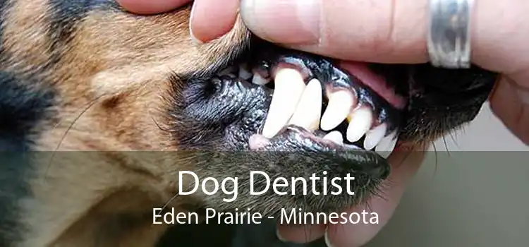 Dog Dentist Eden Prairie - Minnesota
