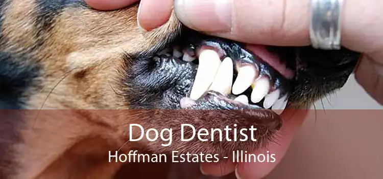 Dog Dentist Hoffman Estates - Illinois