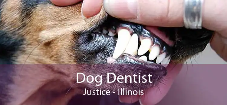 Dog Dentist Justice - Illinois