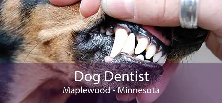Dog Dentist Maplewood - Minnesota
