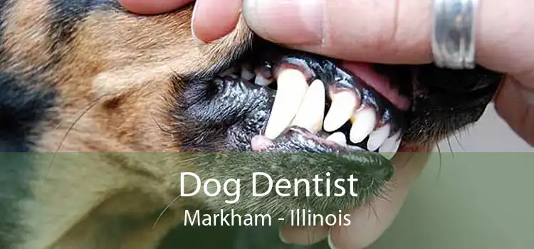 Dog Dentist Markham - Illinois