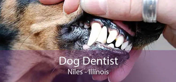 Dog Dentist Niles - Illinois