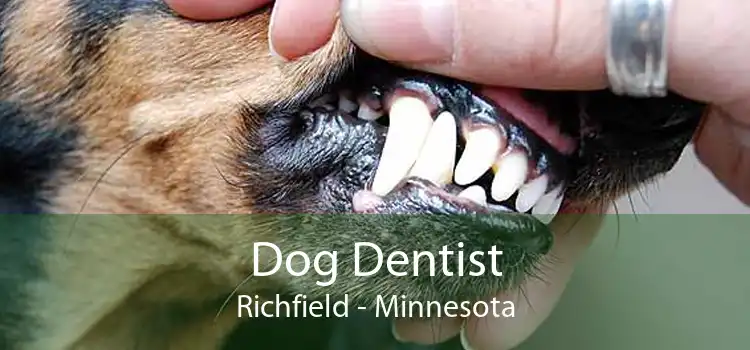 Dog Dentist Richfield - Minnesota