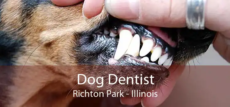 Dog Dentist Richton Park - Illinois