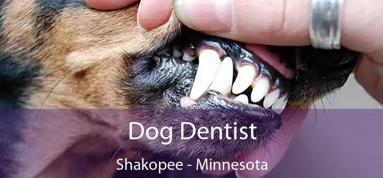 Dog Dentist Shakopee - Minnesota