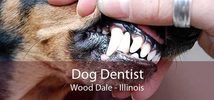Dog Dentist Wood Dale - Illinois