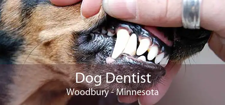 Dog Dentist Woodbury - Minnesota