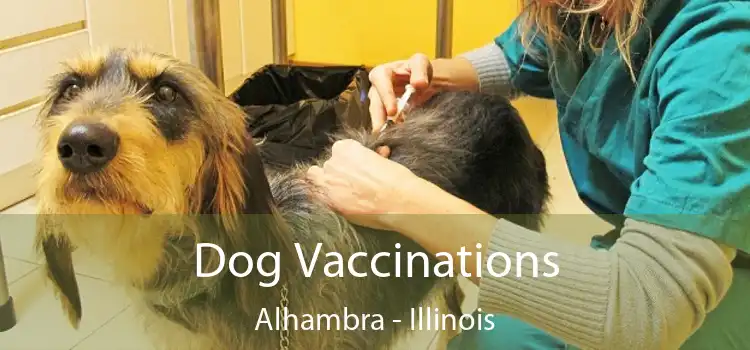 Dog Vaccinations Alhambra - Illinois