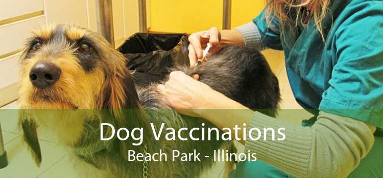 Dog Vaccinations Beach Park - Illinois