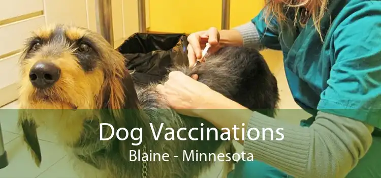 Dog Vaccinations Blaine - Minnesota