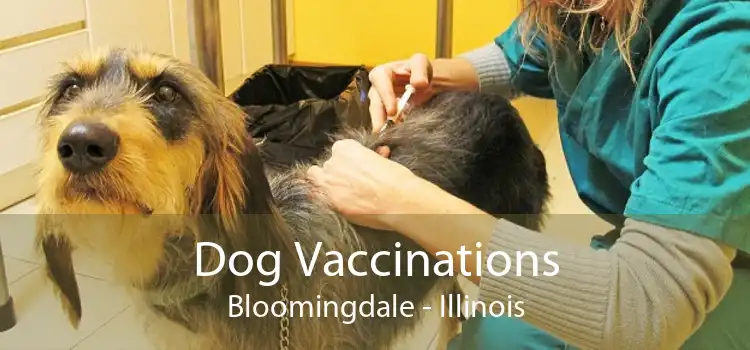 Dog Vaccinations Bloomingdale - Illinois