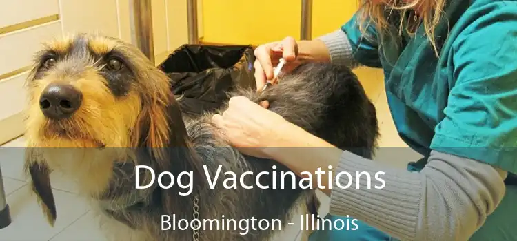 Dog Vaccinations Bloomington - Illinois