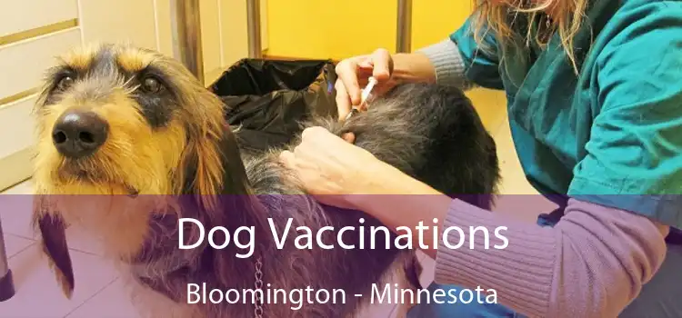 Dog Vaccinations Bloomington - Minnesota