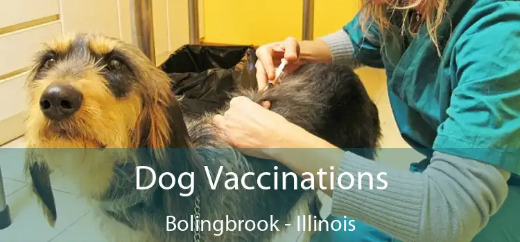 Dog Vaccinations Bolingbrook - Illinois