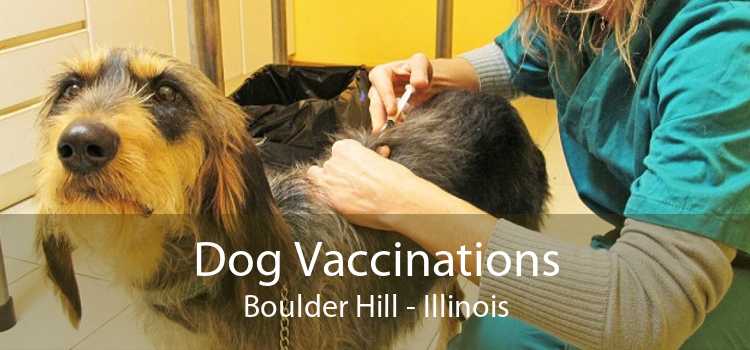 Dog Vaccinations Boulder Hill - Illinois