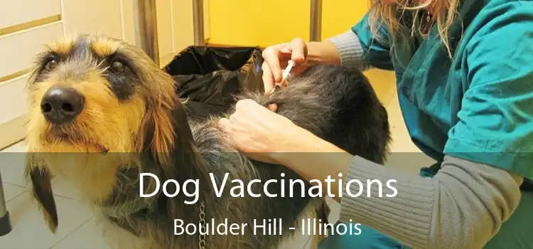 Dog Vaccinations Boulder Hill - Illinois