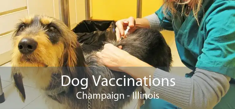 Dog Vaccinations Champaign - Illinois