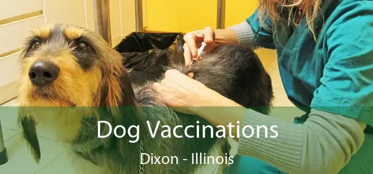 Dog Vaccinations Dixon - Illinois