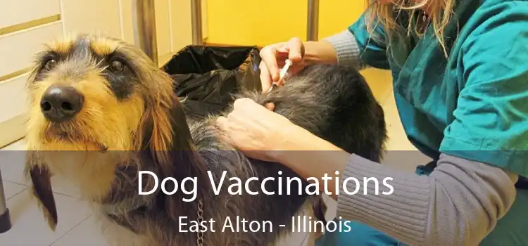 Dog Vaccinations East Alton - Illinois