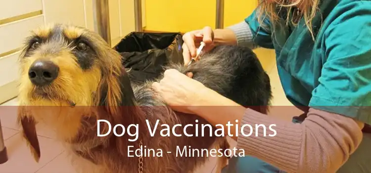 Dog Vaccinations Edina - Minnesota