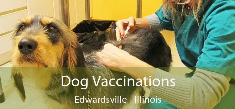 Dog Vaccinations Edwardsville - Illinois