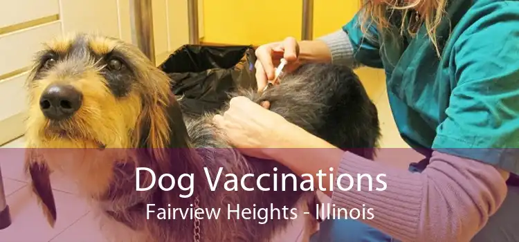 Dog Vaccinations Fairview Heights - Illinois