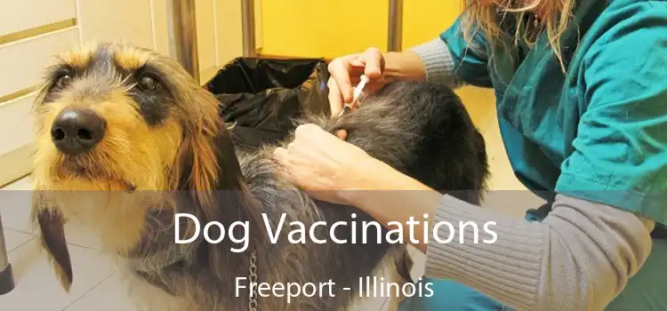 Dog Vaccinations Freeport - Illinois