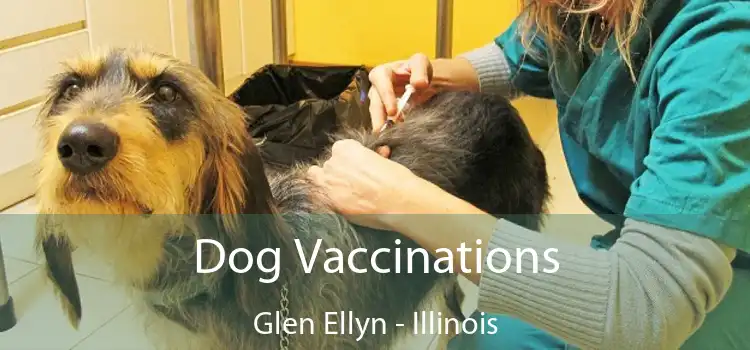 Dog Vaccinations Glen Ellyn - Illinois