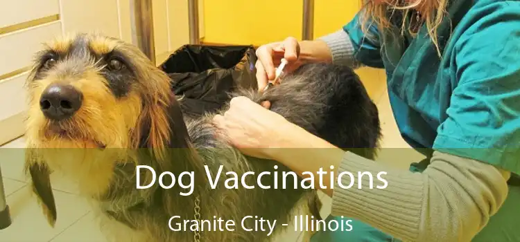 Dog Vaccinations Granite City - Illinois