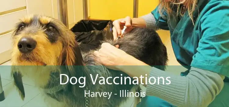 Dog Vaccinations Harvey - Illinois