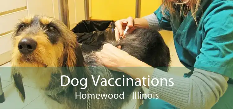 Dog Vaccinations Homewood - Illinois