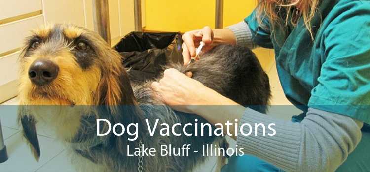 Dog Vaccinations Lake Bluff - Illinois