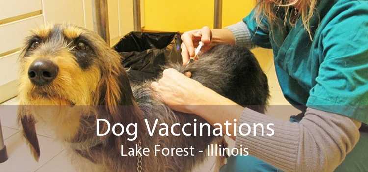 Dog Vaccinations Lake Forest - Illinois