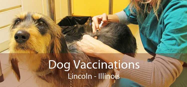 Dog Vaccinations Lincoln - Illinois