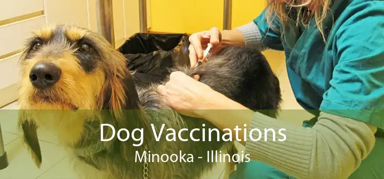 Dog Vaccinations Minooka - Illinois