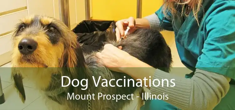Dog Vaccinations Mount Prospect - Illinois