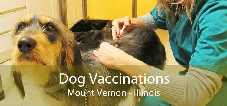 Dog Vaccinations Mount Vernon - Illinois