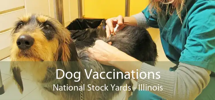 Dog Vaccinations National Stock Yards - Illinois