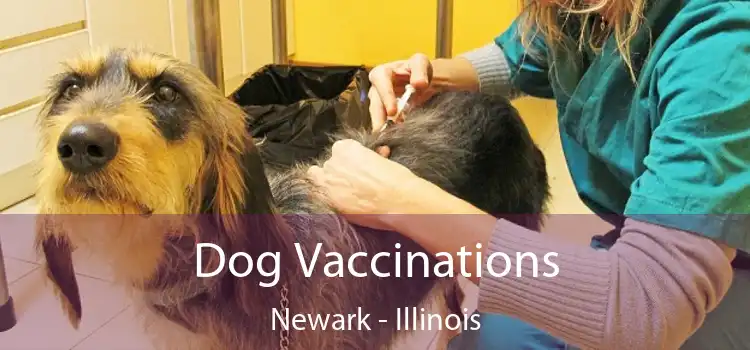 Dog Vaccinations Newark - Illinois