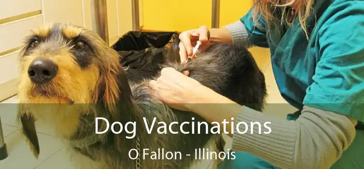 Dog Vaccinations O Fallon - Illinois