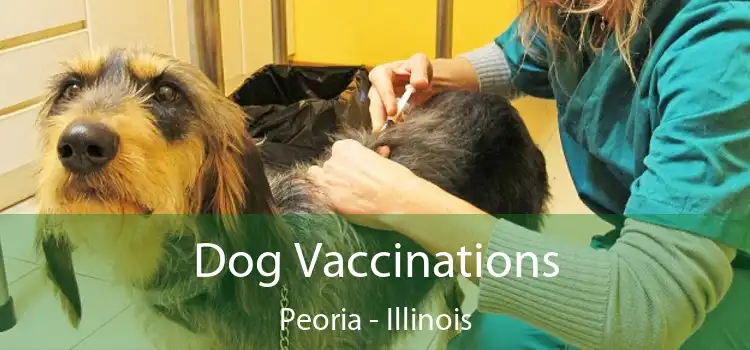 Dog Vaccinations Peoria - Illinois